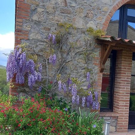 Podere Casalbosco - Idromassaggio E Panorama Rapolano Terme Eksteriør bilde